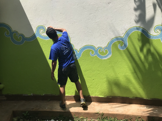 Person painting a green wall under sunlight.