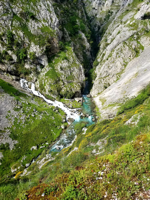       Aerial view of a narrow gorge with a flowing river.
  