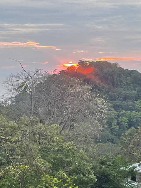       View of a sunset over forested terrain.
  