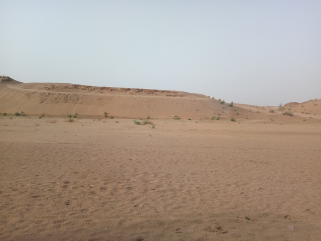 A desert landscape with sand dunes and sparse vegetation.