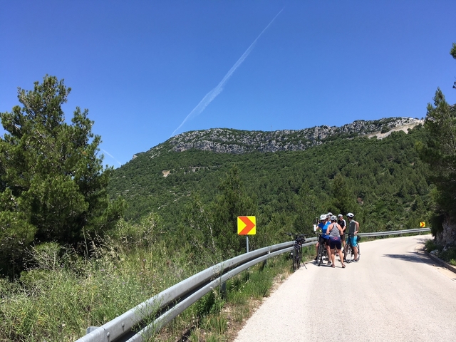 Cyclists on a road with greenery and mountains in the background.
