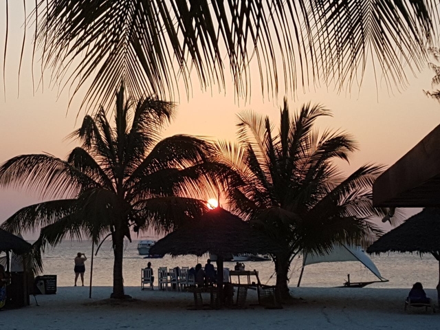 People relaxing on a beach with palm trees at sunset.