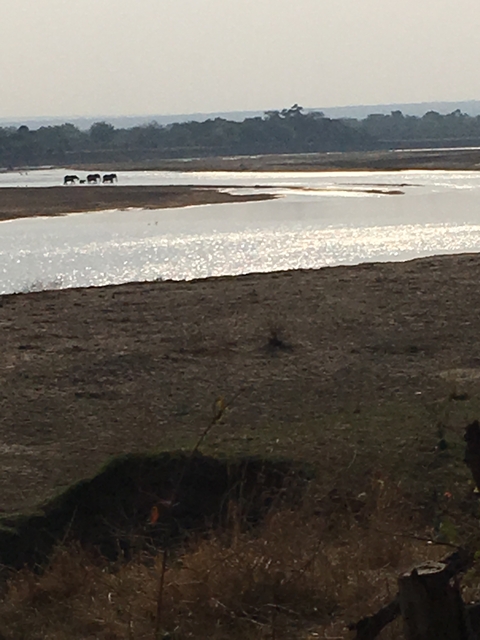       A blurry view of a water body reflecting sunlight.
  