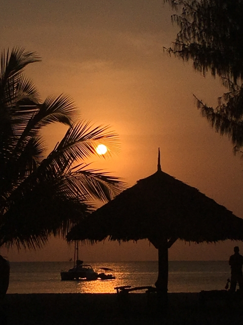 A silhouette of a thatched roof and palm branches against a sunset.