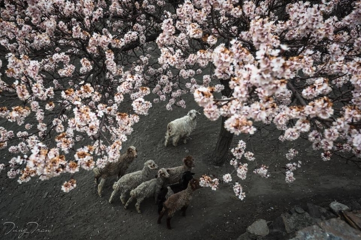       Klantbeoordelingsfoto van Hunza Shangri-La Tour 
  