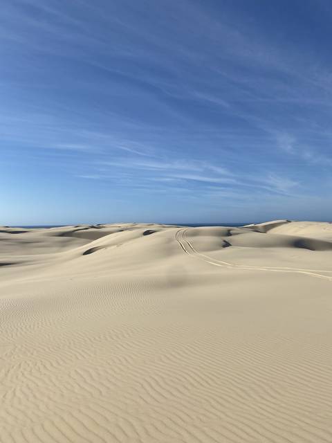       Sandy desert landscape.
  