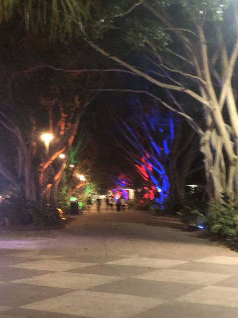 Colorful lighting in a park at night