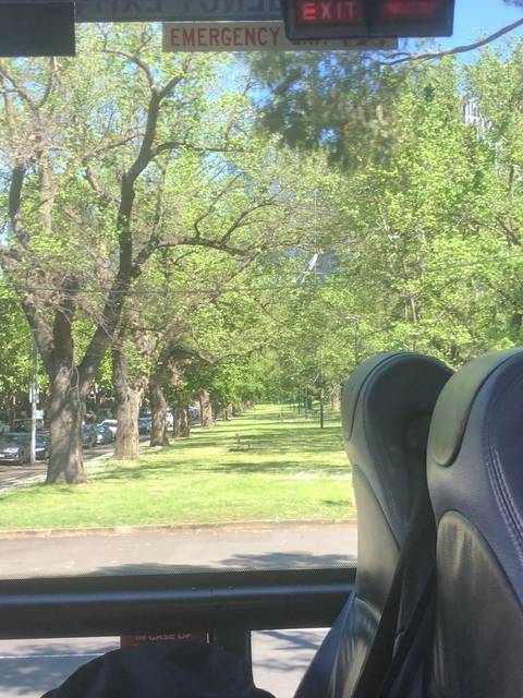       Inside a bus with green trees outside
  