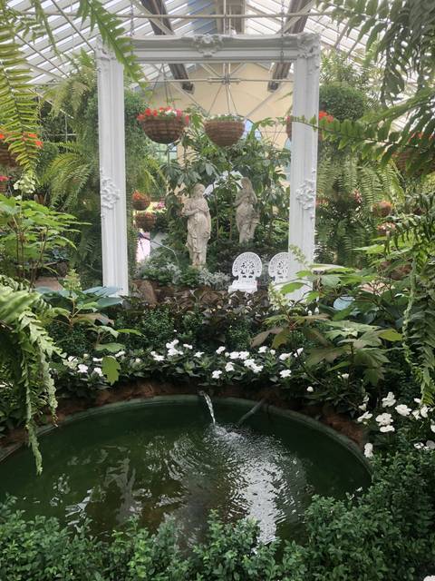       Indoor garden with a fountain
  