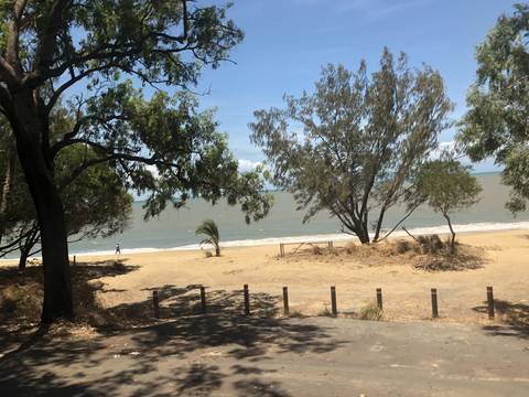       Beach with trees and ocean waves
  