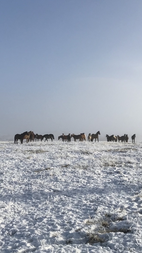       Photo d'avis client sur L'essentiel de la Patagonie 
  