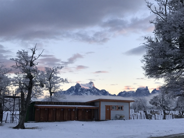       Snowy landscape with trees and mountains at sunset.
  