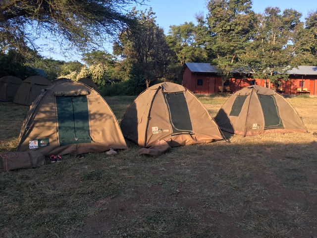 Camping tents set up in a field under the sun.