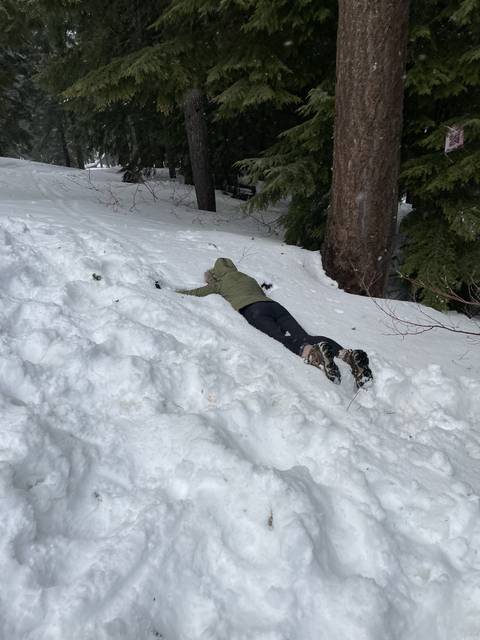Person lying face down in the snow next to trees.
