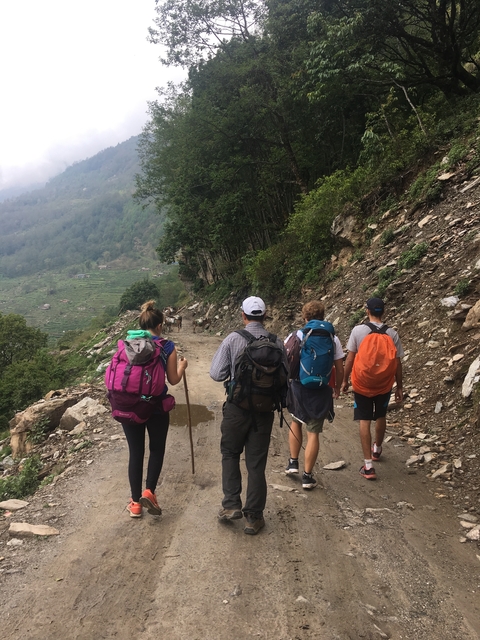 Group of hikers walking on a dirt path through a forested landscape.