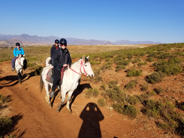 Group of people horse riding in a rural landscape.