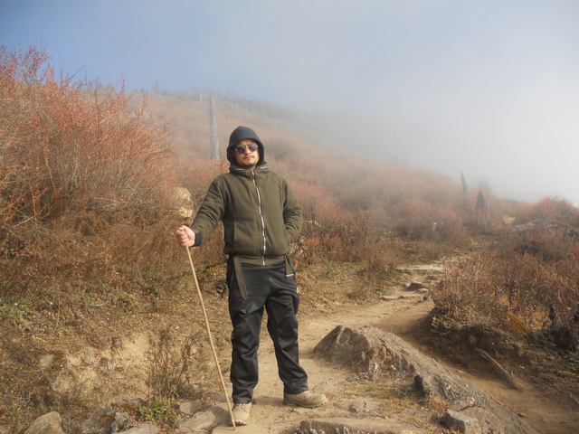 Hiker standing on a trail surrounded by fog and autumn foliage.