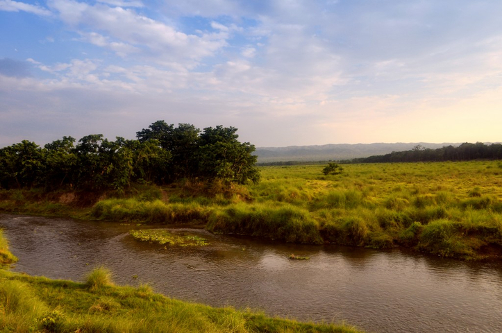       Serene landscape with a flowing river and green pastures.
  