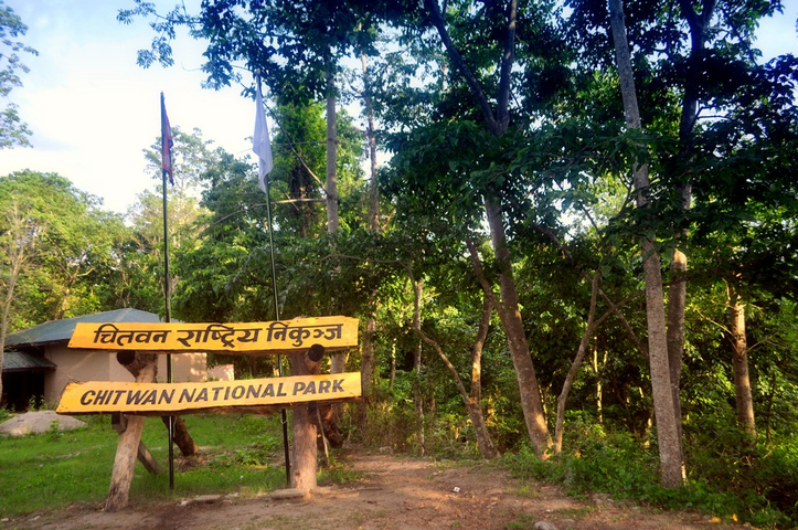       Chitwan National Park entrance sign in a lush forest.
  