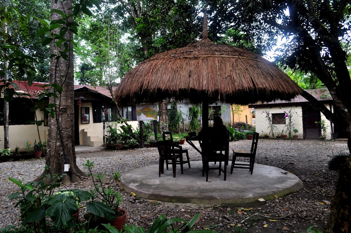       Outdoor seating area with a thatched roof and chairs.
  