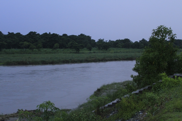 Riverbank with trees and a body of water at dusk.
