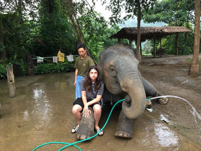Two people interacting with an elephant at a nature reserve.