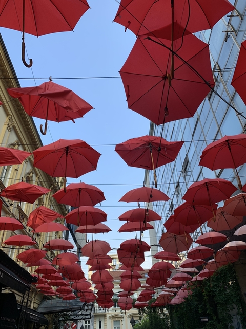       Street with suspended red umbrellas between buildings.
  