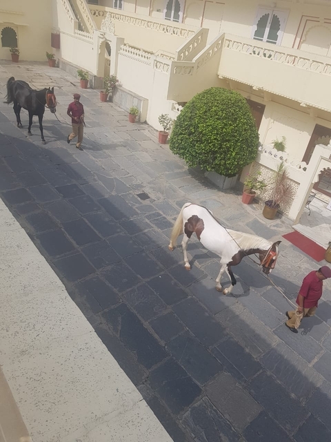       foto de reseña de cliente de Triángulo de oro cultural de la India - 6 días 
  