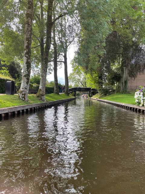       River view with a wooden walkway and trees.
  