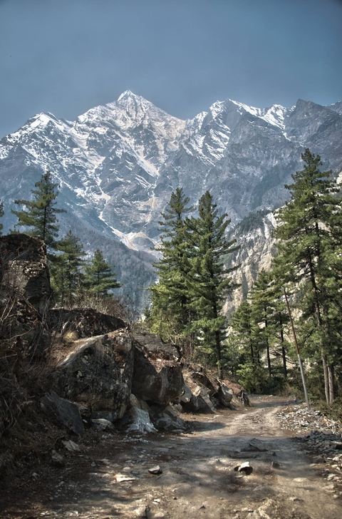       Mountain landscape with lush greenery and rocky formations.
  