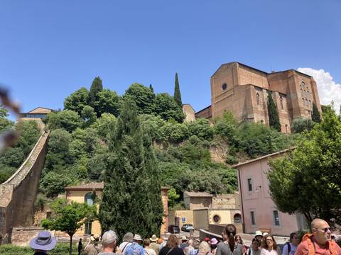 Cityscape view with green trees and historic buildings.
