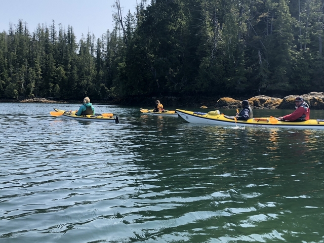 Group of people kayaking on a forest-lined lake.