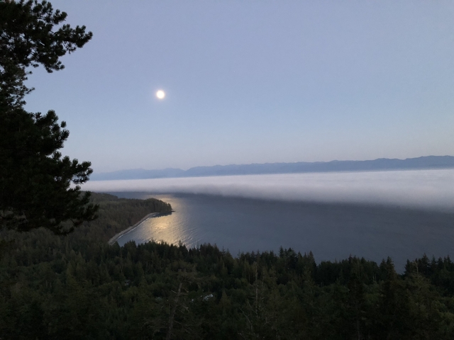 Moonlit view over forested mountains with a fog line.