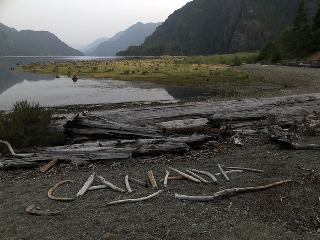 Driftwood logs on a lakeside with mountains in the distance.