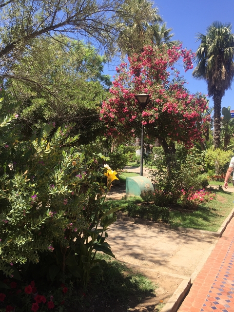       Colorful garden scene with a person walking.
  