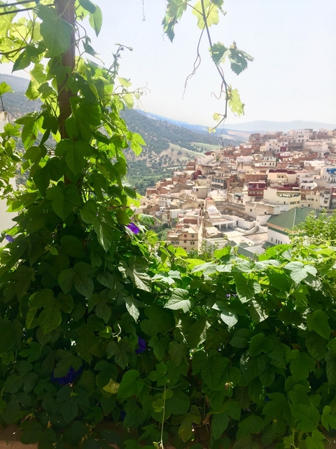       Valley view from greenery with a town and hills in the background.
  