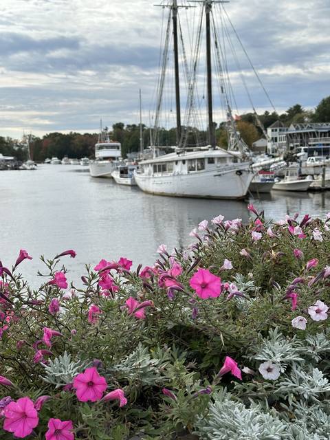 Harbor view with boats and colorful flowers in foreground.