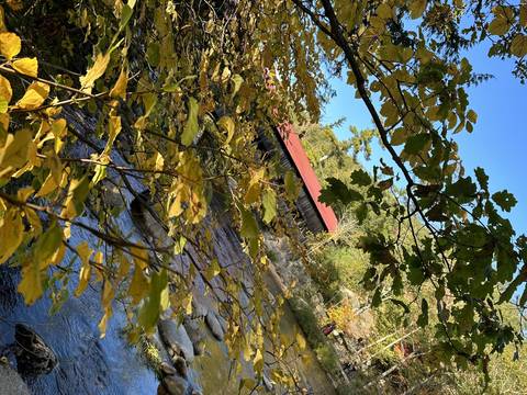 Covered bridge over a river surrounded by fall foliage.