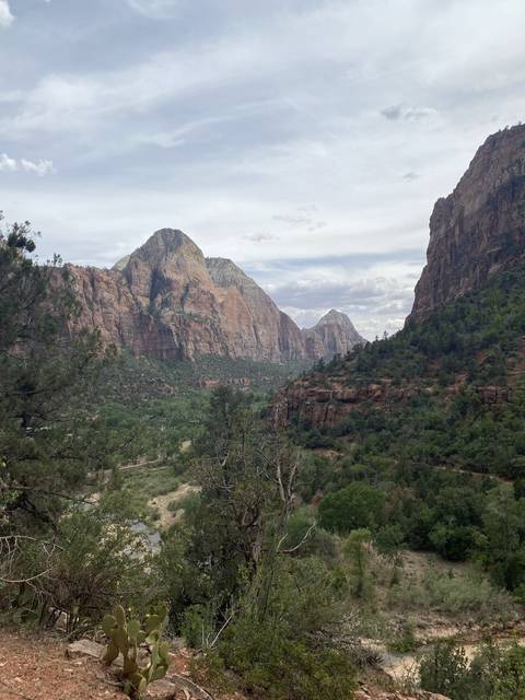       Mountainous landscape with trees and rocks.
  