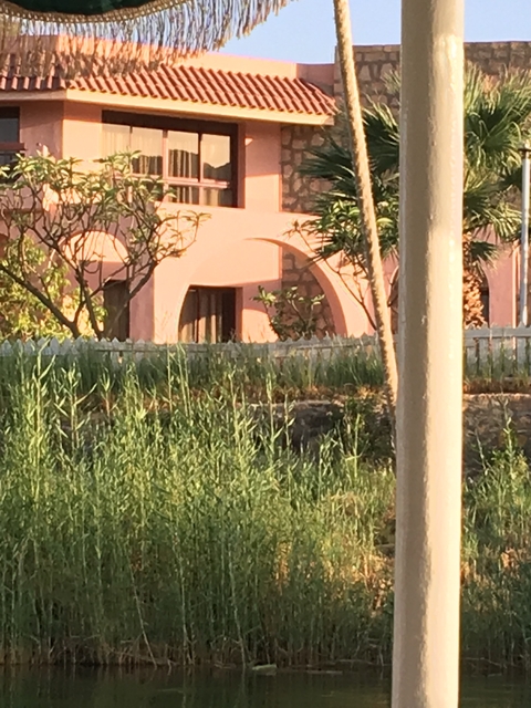      Partially blurred photograph of a pink building.
  