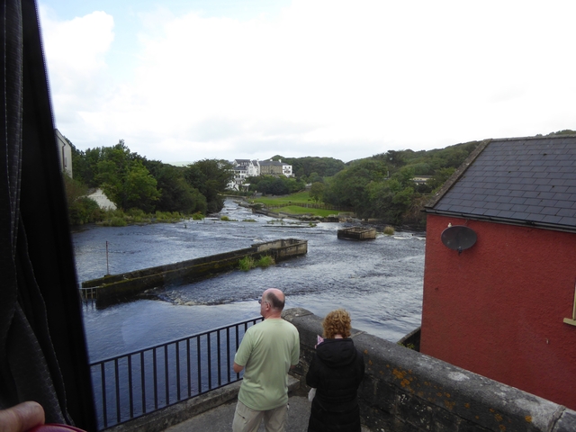       People observing a river with greenery surrounding.
  