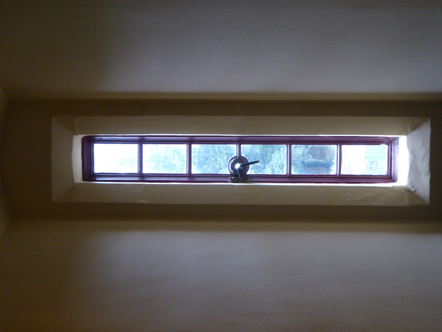 Narrow rectangular window with a view of trees.