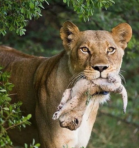 Photo d'avis client sur Canada Complet - 2022 