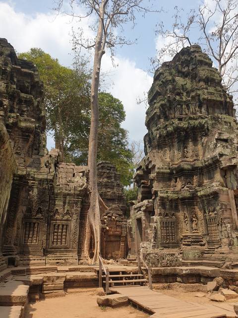       Ancient temple ruins with trees and clear sky.
  