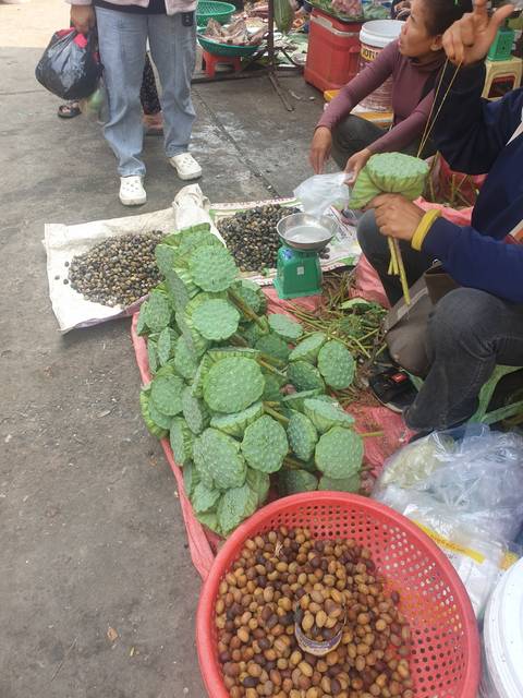 Market scene with lotus seed heads and fruits.