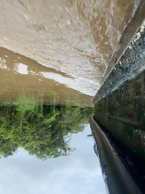 A river with trees lining the banks, photographed from a moving boat.