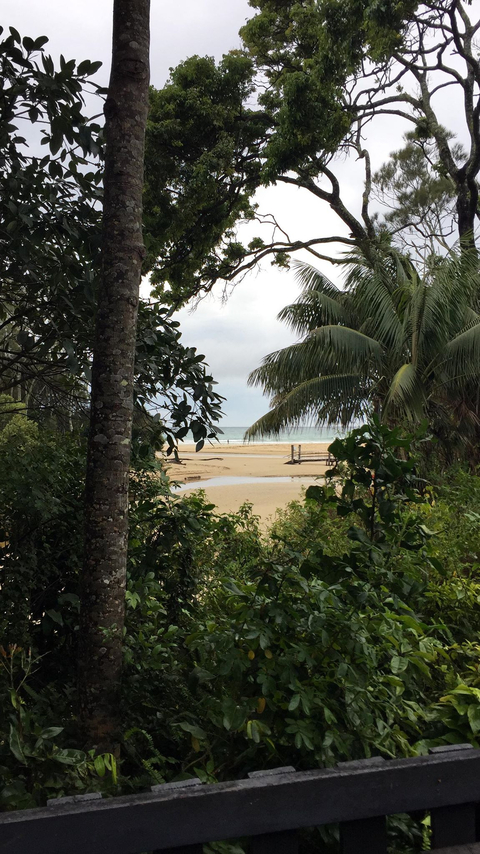Scenic view of a beach seen through tropical trees and foliage.
