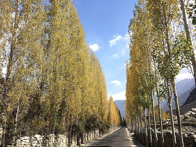       foto de reseña de cliente de Circuito de Otoño a Hunza y el Valle de Phandar - Pakistán 
  