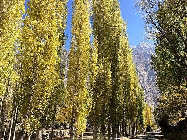       foto de reseña de cliente de Circuito de Otoño a Hunza y el Valle de Phandar - Pakistán 
  