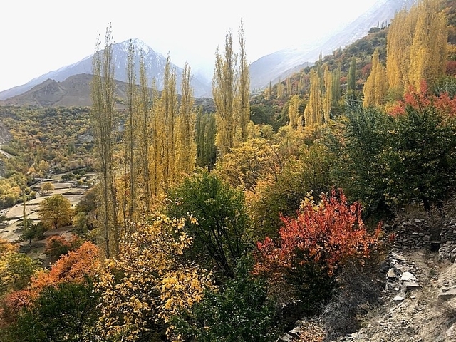       foto de reseña de cliente de Circuito de Otoño a Hunza y el Valle de Phandar - Pakistán 
  